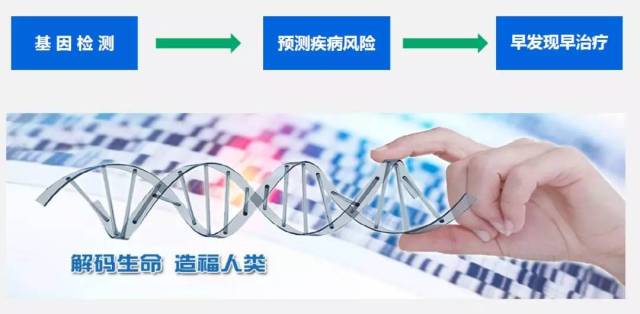 品牌精神经济：赋能企业未来的核心竞争力